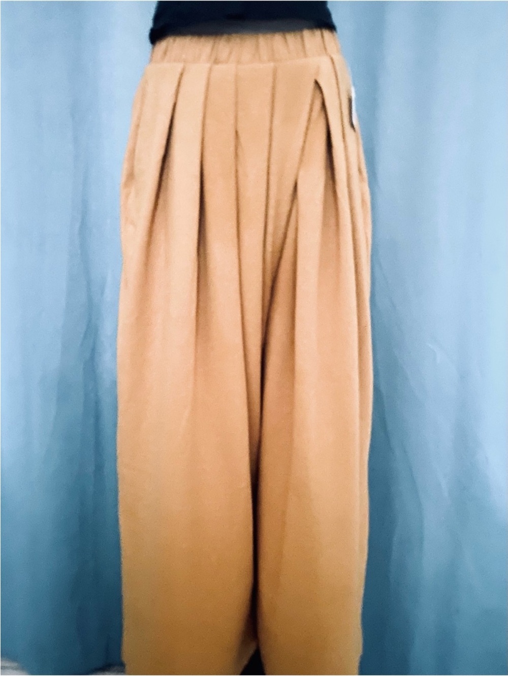 Free People Sloane Wide Leg Pant NWT S